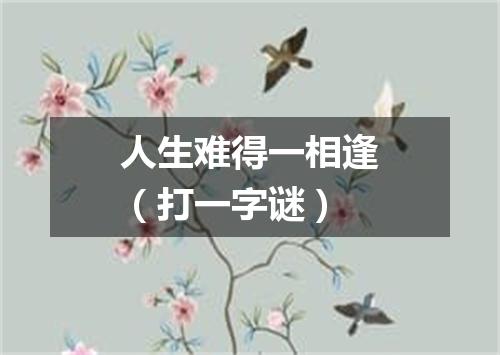 人生难得一相逢（打一字谜）