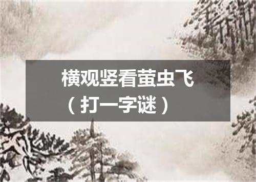 横观竖看萤虫飞（打一字谜）