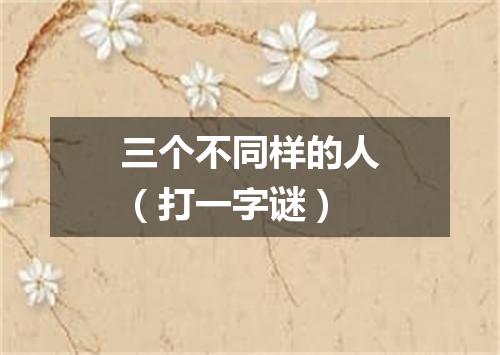 三个不同样的人（打一字谜）