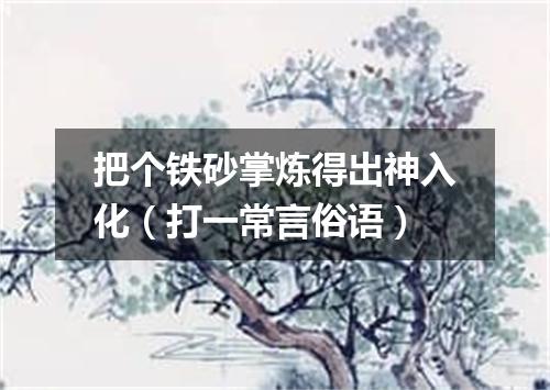 把个铁砂掌炼得出神入化（打一常言俗语）