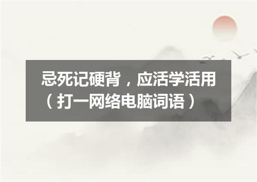 忌死记硬背，应活学活用（打一网络电脑词语）