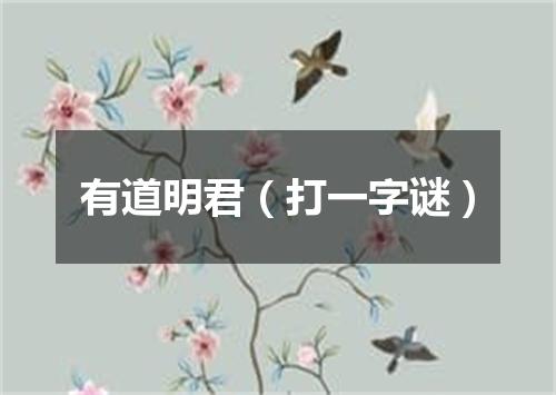 有道明君（打一字谜）