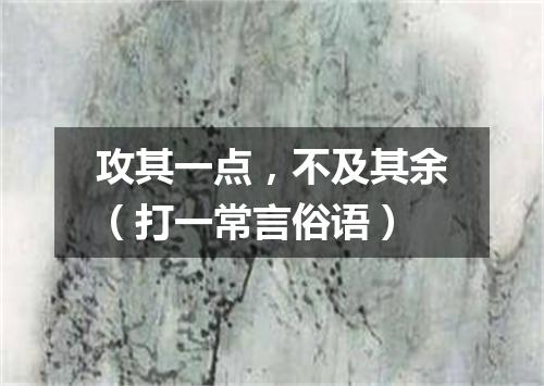 攻其一点，不及其余（打一常言俗语）