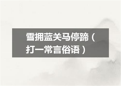 雪拥蓝关马停蹄（打一常言俗语）