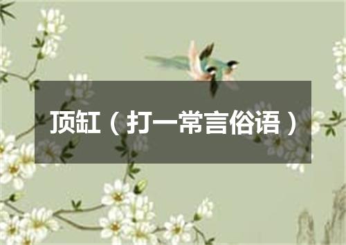 顶缸（打一常言俗语）