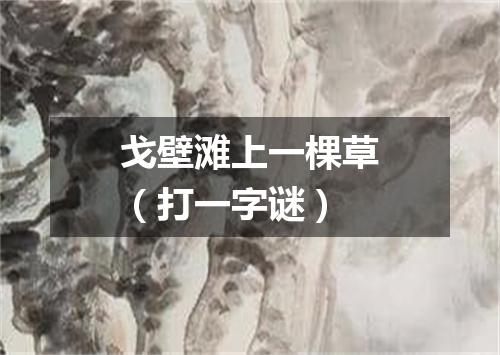 戈壁滩上一棵草（打一字谜）