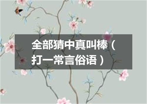 全部猜中真叫棒（打一常言俗语）