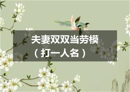 夫妻双双当劳模（打一人名）