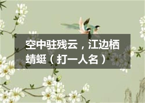 空中驻残云，江边栖蜻蜓（打一人名）