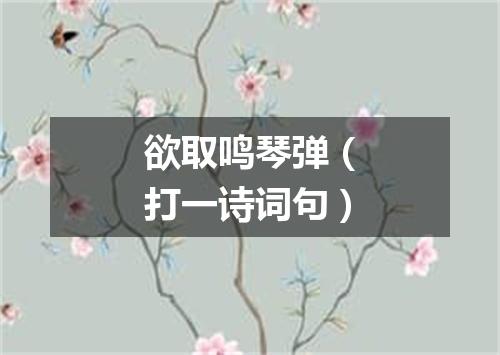 欲取鸣琴弹（打一诗词句）