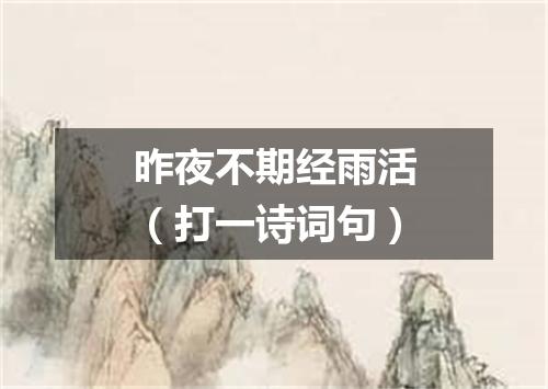 昨夜不期经雨活（打一诗词句）