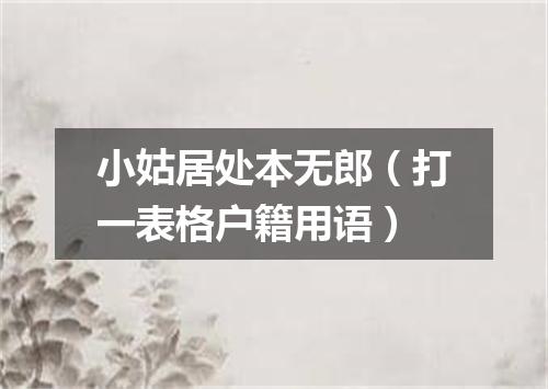 小姑居处本无郎（打一表格户籍用语）