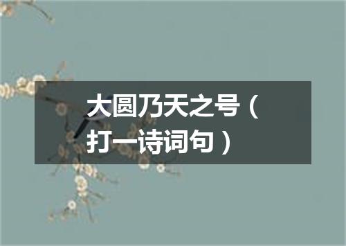 大圆乃天之号（打一诗词句）
