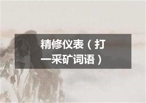 精修仪表（打一采矿词语）
