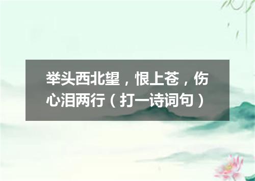 举头西北望，恨上苍，伤心泪两行（打一诗词句）