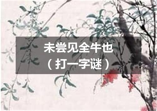 未尝见全牛也（打一字谜）