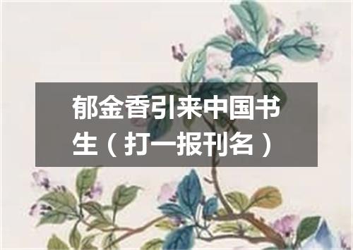 郁金香引来中国书生（打一报刊名）