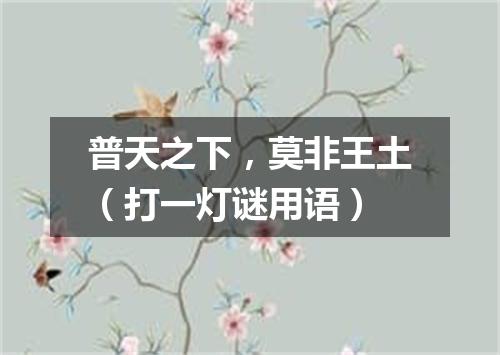 普天之下，莫非王土（打一灯谜用语）
