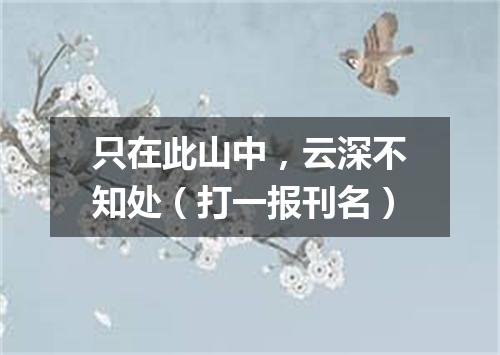 只在此山中，云深不知处（打一报刊名）