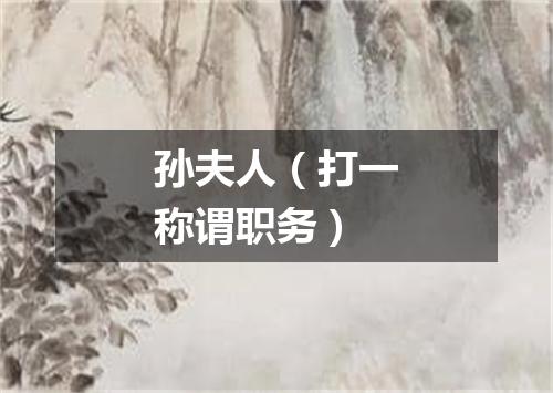 孙夫人（打一称谓职务）