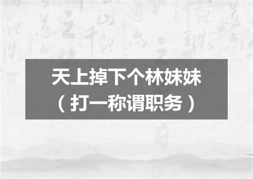 天上掉下个林妹妹（打一称谓职务）