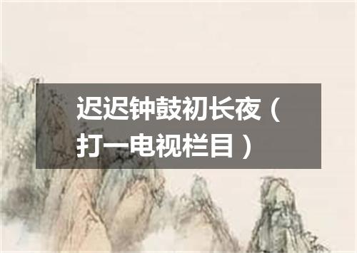 迟迟钟鼓初长夜（打一电视栏目）