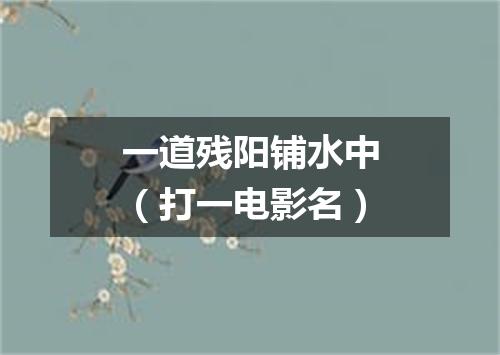 一道残阳铺水中（打一电影名）