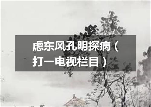 虑东风孔明探病（打一电视栏目）