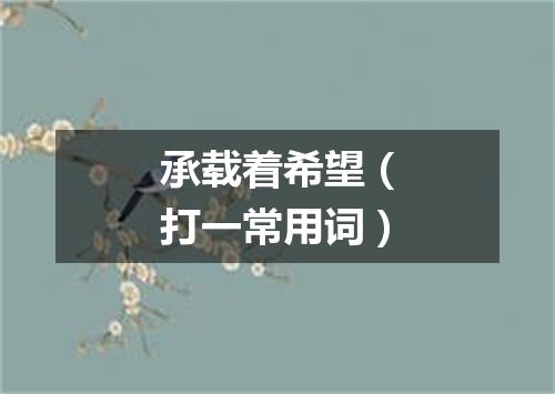 承载着希望（打一常用词）