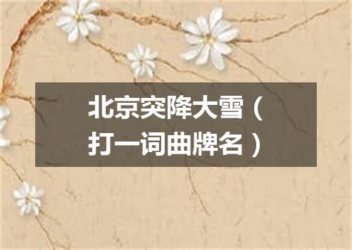 北京突降大雪（打一词曲牌名）