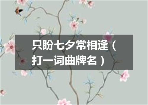 只盼七夕常相逢（打一词曲牌名）