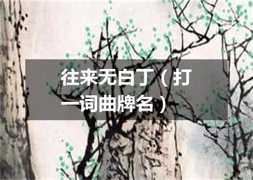 往来无白丁（打一词曲牌名）