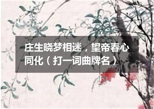 庄生晓梦相迷，望帝春心同化（打一词曲牌名）