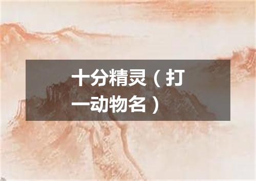十分精灵（打一动物名）