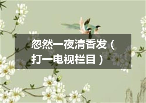 忽然一夜清香发（打一电视栏目）