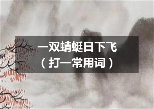 一双蜻蜓日下飞（打一常用词）