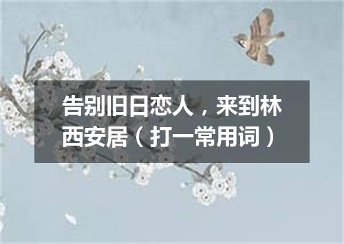 告别旧日恋人，来到林西安居（打一常用词）