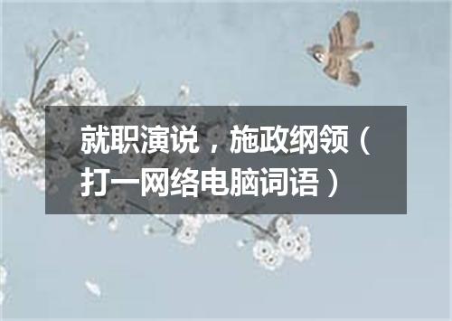 就职演说，施政纲领（打一网络电脑词语）