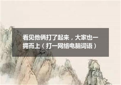 看见他俩打了起来，大家也一拥而上（打一网络电脑词语）