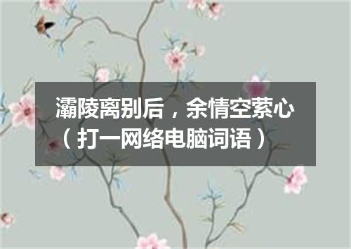 灞陵离别后，余情空萦心（打一网络电脑词语）