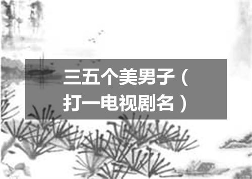 三五个美男子（打一电视剧名）