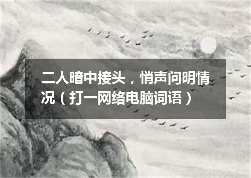 二人暗中接头，悄声问明情况（打一网络电脑词语）