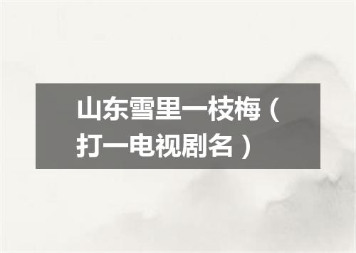 山东雪里一枝梅（打一电视剧名）