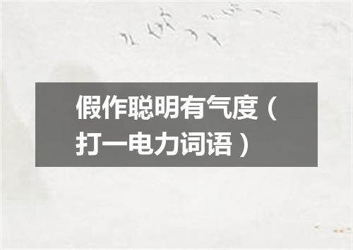 假作聪明有气度（打一电力词语）