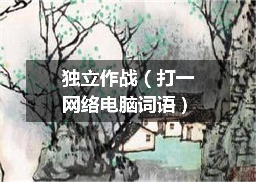 独立作战（打一网络电脑词语）