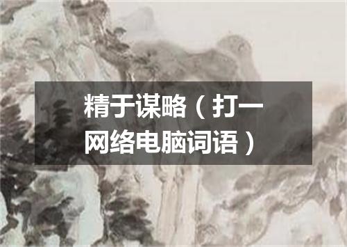 精于谋略（打一网络电脑词语）
