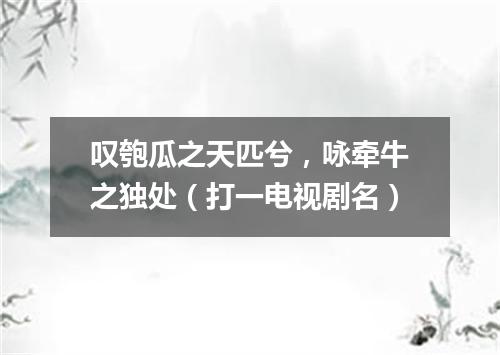 叹匏瓜之天匹兮，咏牵牛之独处（打一电视剧名）