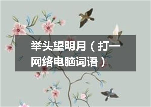 举头望明月（打一网络电脑词语）