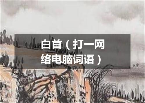 白首（打一网络电脑词语）