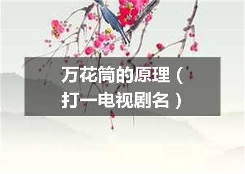 万花筒的原理（打一电视剧名）